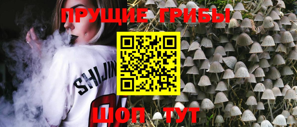 Псилоцибиновые грибы Magic Shrooms Михайловка