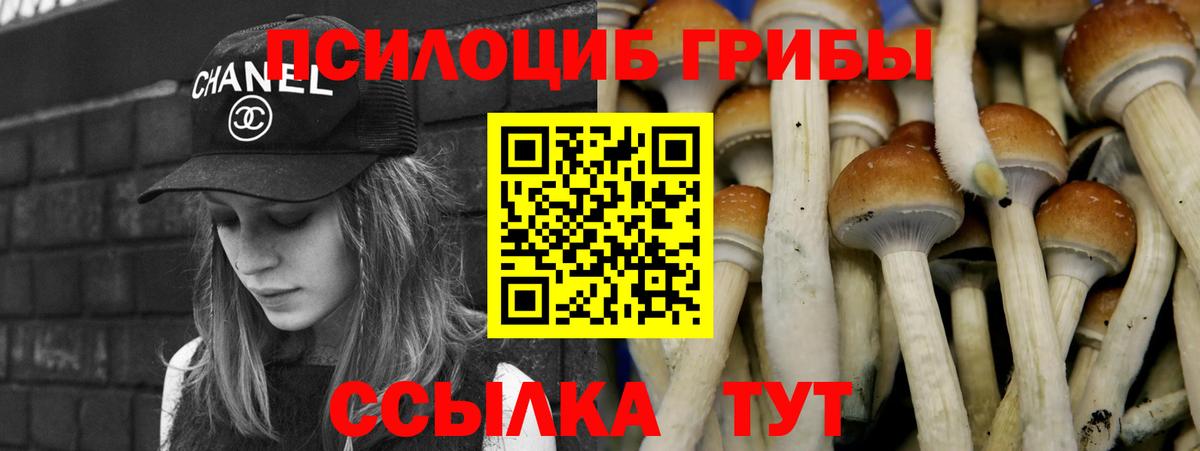 Галлюциногенные грибы Psilocybine cubensis  Вход с VPN  Михайловка 